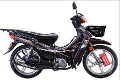 ���� ������ ZS110-9S